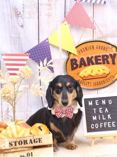 20240923おうたくん